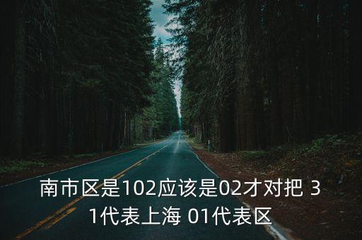 上海市代表的數字，南市區是102應該是02才對把 31代表上海 01代表區