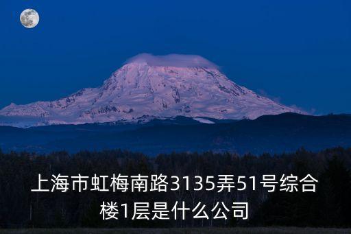 上海市虹梅南路3135弄51號綜合樓1層是什么公司