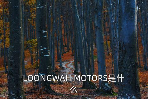 東莞市威銘汽車銷售服務有限公司，東莞什么地方有進口起亞4s點