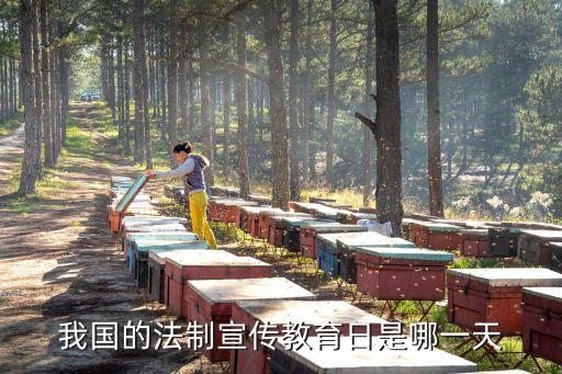 教育日，我國的法制宣傳教育日是哪一天