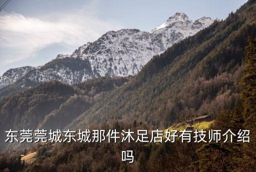 東莞莞城東城那件沐足店好有技師介紹嗎