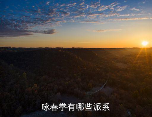 詠春派，詠春拳有哪些派系