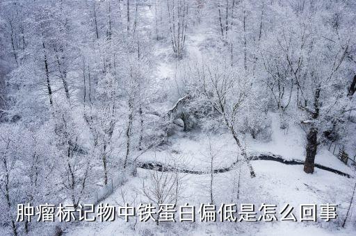 腫瘤標(biāo)記物中鐵蛋白偏低是怎么回事