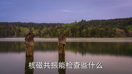 磁共振檢查什么，磁共振檢查什么