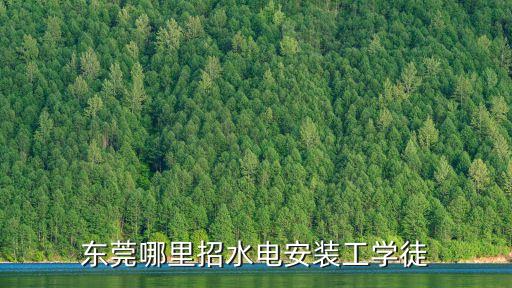 東莞水電工程建設有限公司，我想在東莞找一份水電安裝的工作