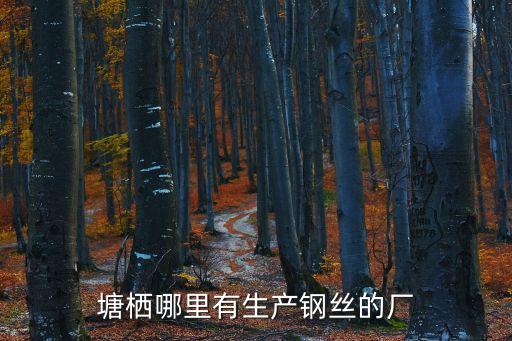 塘棲哪里有生產鋼絲的廠