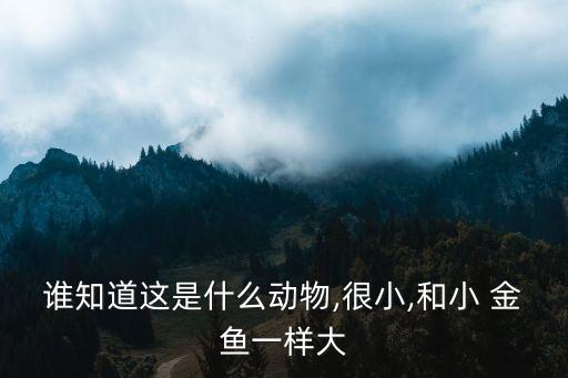 誰知道這是什么動(dòng)物,很小,和小 金魚一樣大