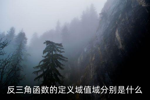反三角函數(shù)定義域，反三角函數(shù)的定義域值域分別是什么