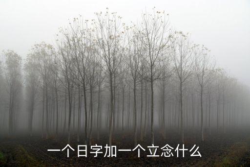 一個日字加一個立念什么