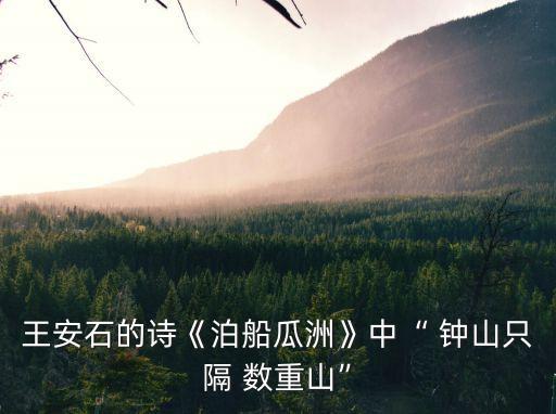 鐘山只隔數(shù)重山,鐘山與南京紫金山僅隔山數(shù)重山