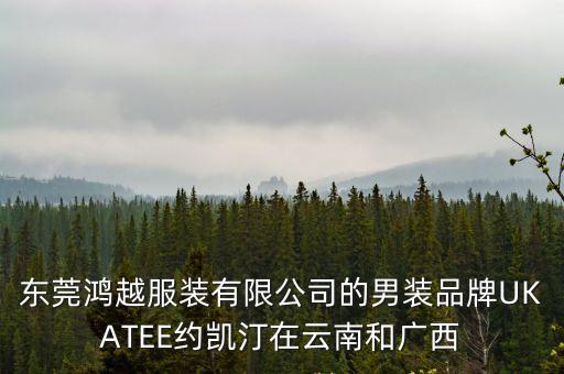 東莞鴻越服裝有限公司的男裝品牌UKATEE約凱汀在云南和廣西