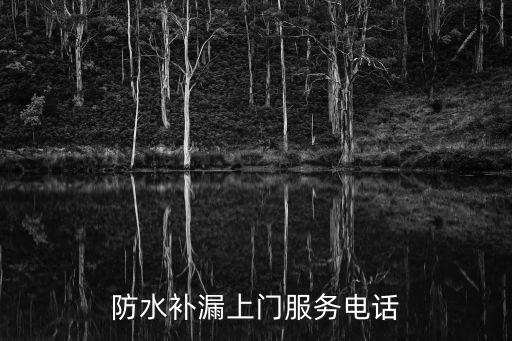 防水補漏上門服務電話