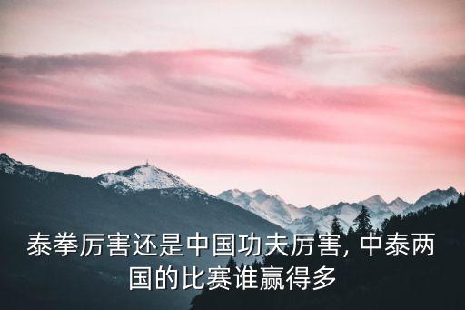 中泰散打?qū)官?中泰冠軍對抗賽:中國散打運(yùn)動員有30%勝算