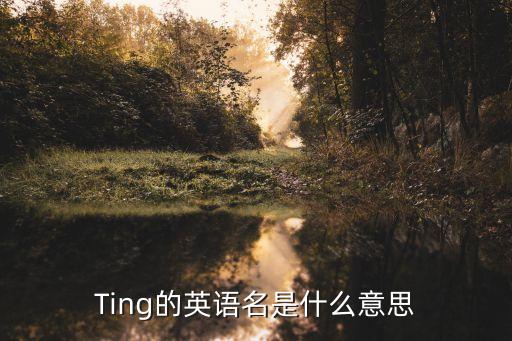 Ting的英語名是什么意思