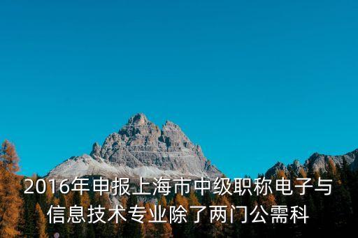 2016年申報上海市中級職稱電子與信息技術專業除了兩門公需科