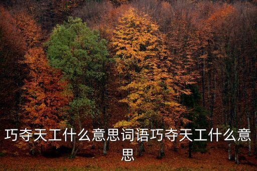 巧奪天工什么意思詞語巧奪天工什么意思