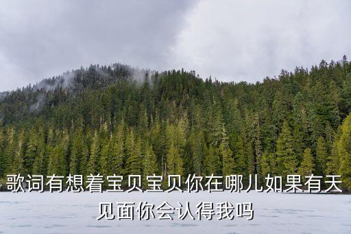 歌詞有想著寶貝寶貝你在哪兒如果有天見面你會認(rèn)得我嗎