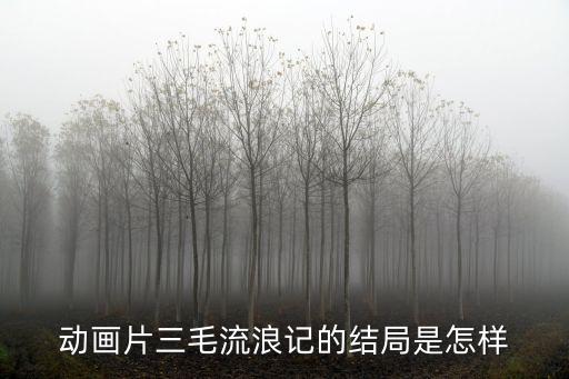 動畫片三毛流浪記的結局是怎樣