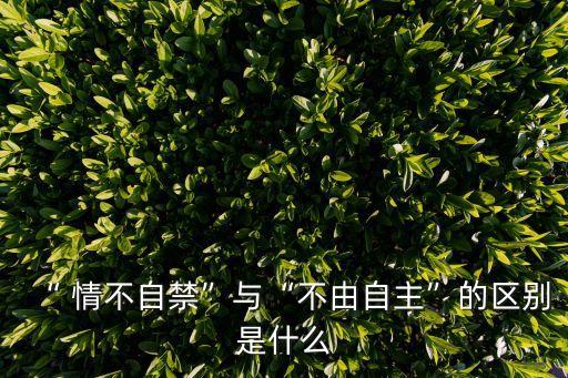 “ 情不自禁”與“不由自主”的區(qū)別是什么