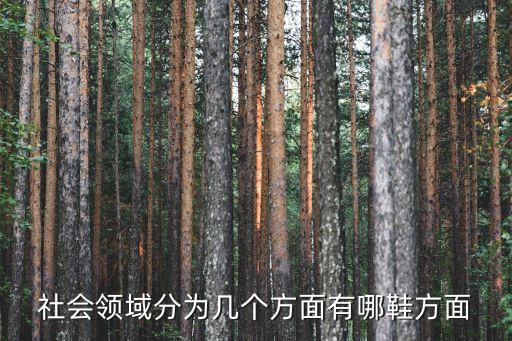 社會領域，社發領域什么意思
