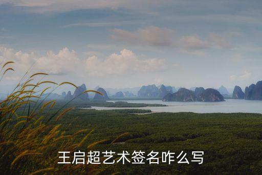 王啟超藝術簽名咋么寫