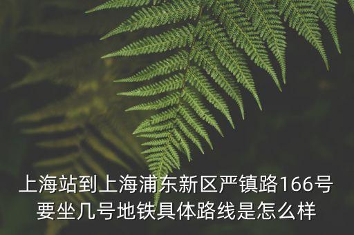上海市浦東新區(qū)嚴(yán)鎮(zhèn)路，上海川沙汽車站到浦東新區(qū)嚴(yán)鎮(zhèn)路怎么走