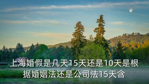 上海市婚假的法律規定，上海婚假規定