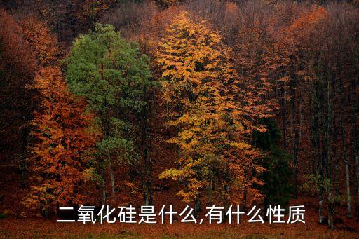 二氧化硅的化學式,二氧化硅是一種酸性氧化物