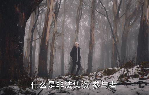 參與者,非法集資若數額較大可判刑三年六個月