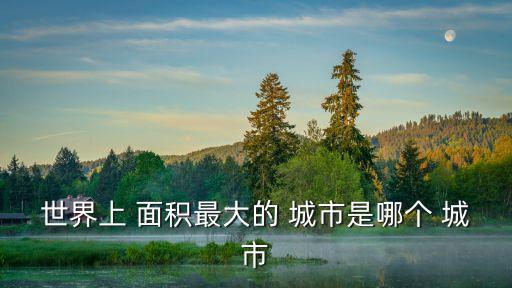世界上 面積最大的 城市是哪個 城市