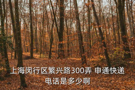 上海閔行區繁興路300弄 申通快遞電話是多少啊