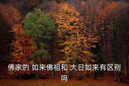 大日如來佛祖,大日如來
