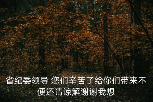 省紀委領導 您們辛苦了給你們帶來不便還請諒解謝謝我想