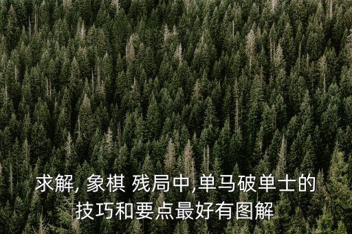 求解, 象棋 殘局中,單馬破單士的技巧和要點最好有圖解