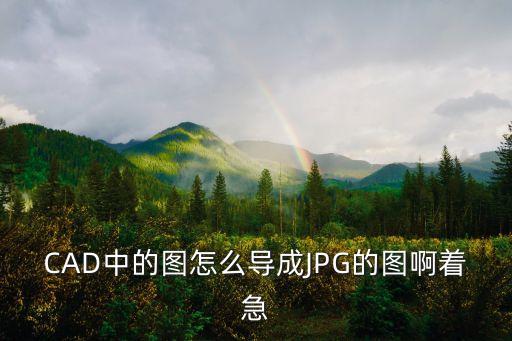 CAD中的圖怎么導成JPG的圖啊著急