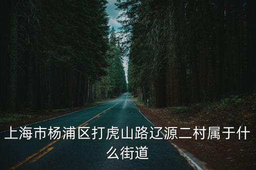 上海市楊浦區(qū)打虎山路遼源二村屬于什么街道