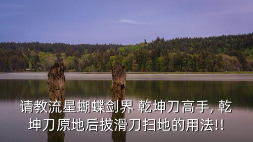 請教流星蝴蝶劍界 乾坤刀高手, 乾坤刀原地后拔滑刀掃地的用法!!