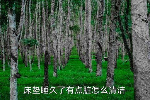 床墊睡久了有點臟怎么清潔