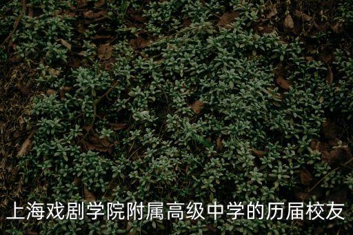 上海市團市委暑期軍營，上海市團委所在