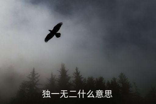 獨一無二，什么是獨一無二