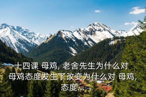 十四課 母雞, 老舍先生為什么對 母雞態度發生了改變為什么對 母雞,態度...