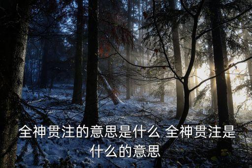  全神貫注的意思是什么 全神貫注是什么的意思