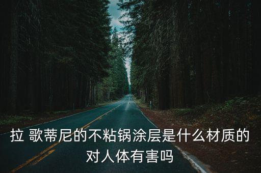 拉 歌蒂尼的不粘鍋涂層是什么材質的對人體有害嗎
