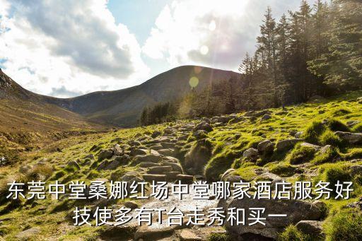 東莞中堂桑娜紅場中堂哪家酒店服務好技使多有T臺走秀和買一