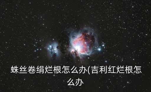  蛛絲卷絹爛根怎么辦(吉利紅爛根怎么辦
