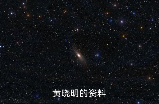 黃曉明資料，黃曉明的資料