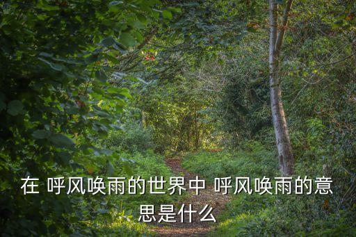 呼風(fēng)喚雨的世紀(jì)課文,課外活動(dòng):為民遮雨也是政府的責(zé)任