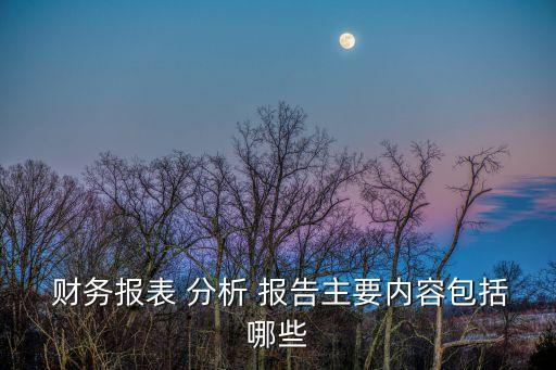  財務報表 分析 報告主要內容包括哪些
