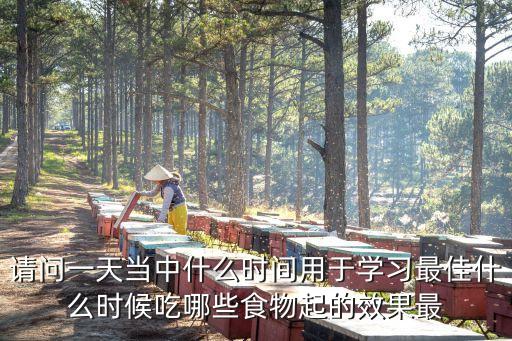 請問一天當中什么時間用于學習最佳什么時候吃哪些食物起的效果最