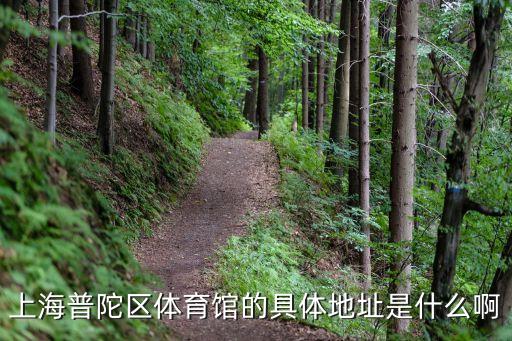 上海普陀區(qū)體育館的具體地址是什么啊